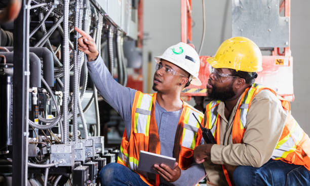 Best Affordable Electrician  in Hayfield, MN