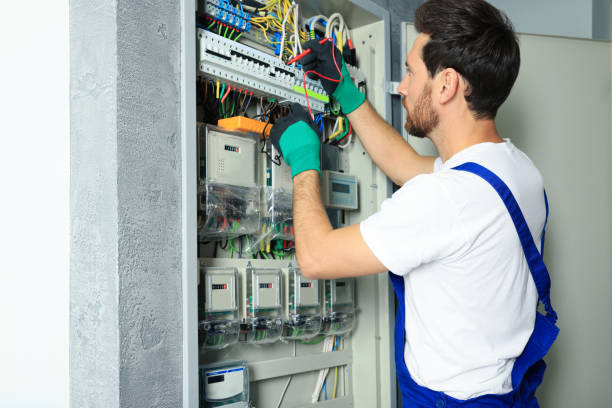 Best Electrical Wiring Services  in Hayfield, MN