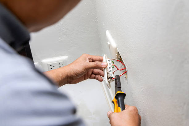 Best Electrical Upgrades for Homes  in Hayfield, MN