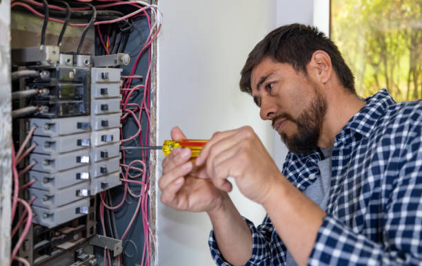 Best Electrical Repair Services  in Hayfield, MN